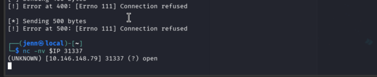 Netcat confirming port 31337 service is back up and responding after crash